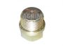 Cep korita motora Torpedo